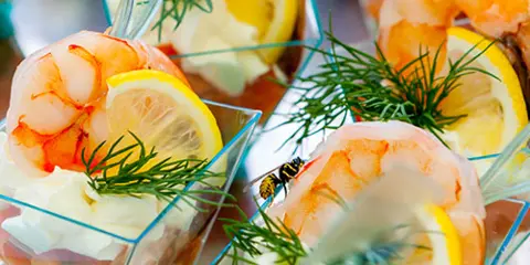 Close-up of shrimp appetizers garnished with lemon slices and fresh dill in small glass cups.