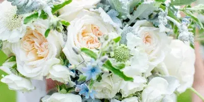 A close-up photograph of a wedding bouquet featuring white garden roses, dusty miller, and small blue flowers held by a person in a white dress.
