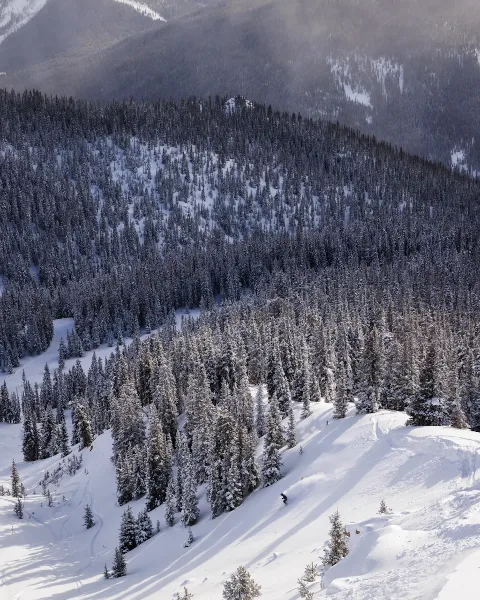 Aerial view of a snow-covered mountain slope with dense evergreen trees and a skier in the distance.