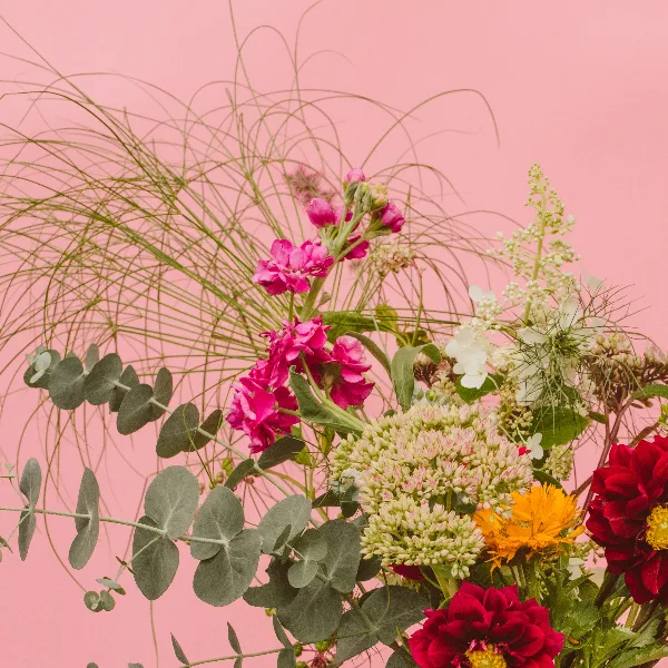 Daisywild Farm - local flowers in upstate New York