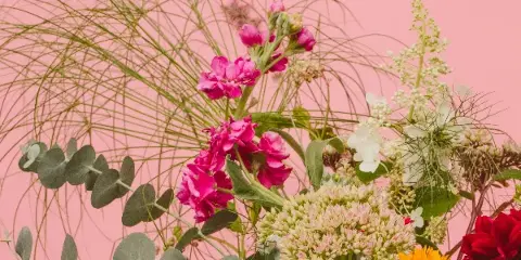 Daisywild Farm - local flowers in upstate New York