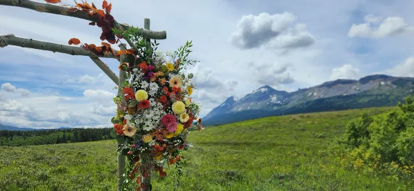 A colorful floral arrangement on a wooden arch in a mountain meadow