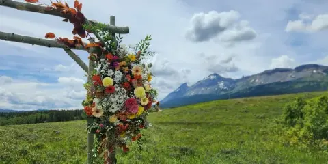 A colorful floral arrangement on a wooden arch in a mountain meadow