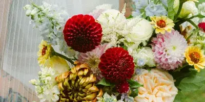 A bride in a white dress holding a large, colorful bouquet featuring red dahlias, yellow zinnias, and white flowers.