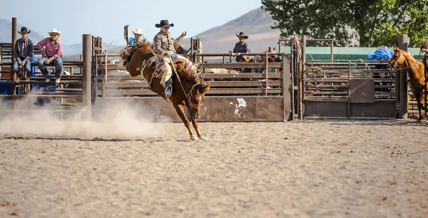 A rodeo rider on a bucking bull in a dirt arena with spectators and horses in the background.