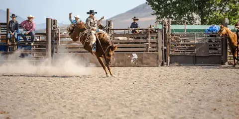 A rodeo rider on a bucking bull in a dirt arena with spectators and horses in the background.