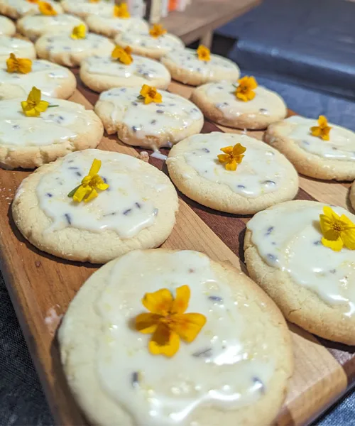 A wooden board filled with round cookies topped with white icing and small yellow edible flowers.