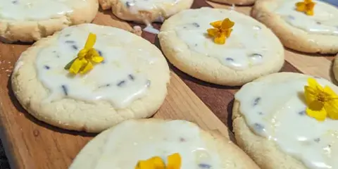 A wooden board filled with round cookies topped with white icing and small yellow edible flowers.