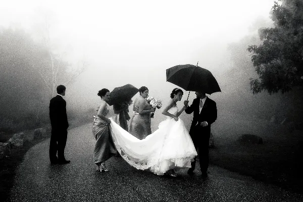 A black-and-white photograph of a bride and groom with bridesmaids holding umbrellas on a foggy path.