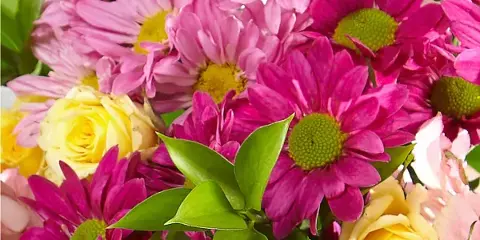 A close-up photograph of a floral bouquet featuring pink daisies, yellow roses, and green leaves.