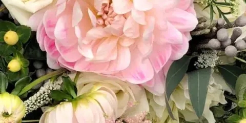 A close-up of a floral arrangement featuring a large pink dahlia, white roses, and greenery.