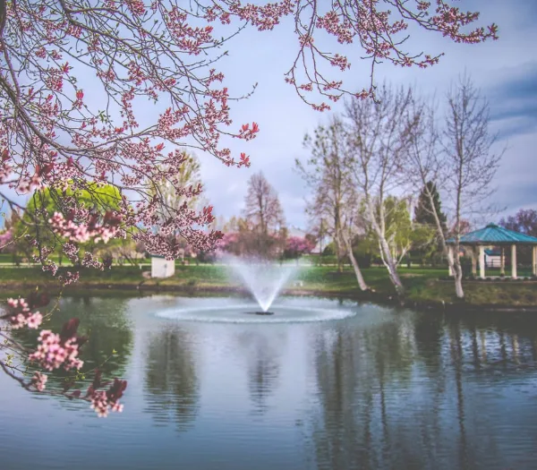 A scenic view of a rural wedding venue featuring a pond with a central fountain, a gazebo, and blooming cherry blossom trees.