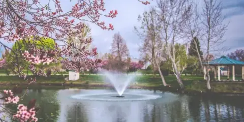 A scenic view of a rural wedding venue featuring a pond with a central fountain, a gazebo, and blooming cherry blossom trees.