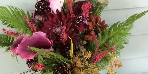 A vibrant floral arrangement with pink calla lilies, dark red dahlias, and green ferns in a gold-wrapped vase.