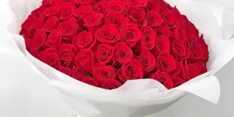 Large bouquet of red roses wrapped in white paper with a pale ribbon