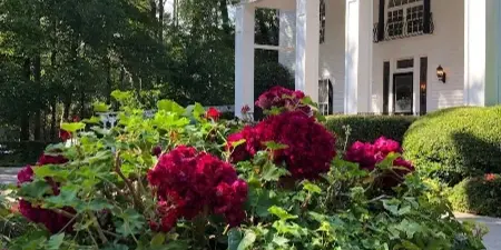 Exterior view of a white wedding venue building with columns and a garden of red flowers in the foreground.