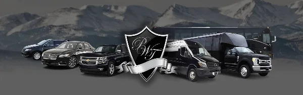 A fleet of luxury vehicles including sedans, SUVs, and coaches parked in a row against a mountain backdrop.