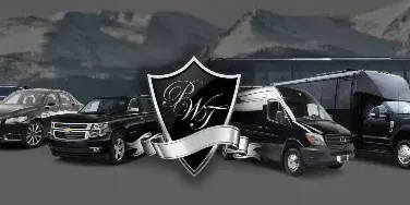 A fleet of luxury vehicles including sedans, SUVs, and coaches parked in a row against a mountain backdrop.