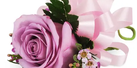 Always in Bloom Flower Shop - lavender rose wrist corsage