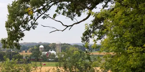 A view of a farm with a red barn and silos framed by trees and fields.