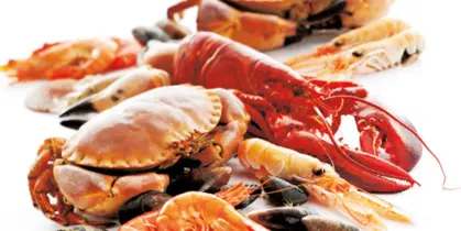 Seafood market at Gulf Shores Seafood, Alabama