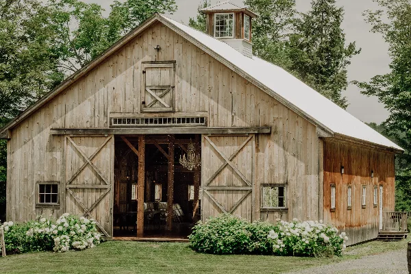 Exterior view of a rustic wooden barn with a white roof and cupola, featuring open sliding doors and white hydrangea bushes in the foreground.