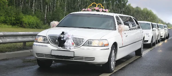 A white limousine decorated with pink flowers and a gold crown, leading a convoy of white cars on a road.
