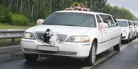 A white limousine decorated with pink flowers and a gold crown, leading a convoy of white cars on a road.