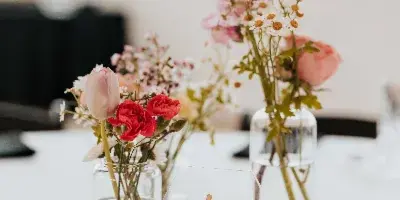 Flower City Ceremonies — wedding officiant and ceremony services, Rochester, New York