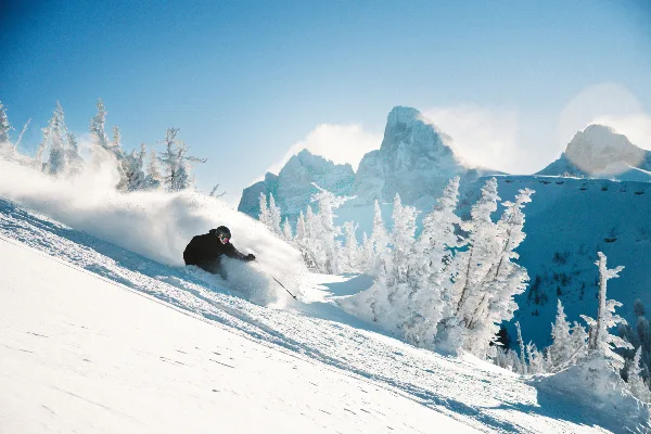 A skier carving through deep powder snow on a mountain slope with snow-covered trees and peaks in the background.