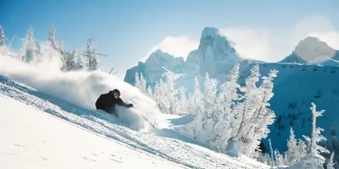 A skier carving through deep powder snow on a mountain slope with snow-covered trees and peaks in the background.