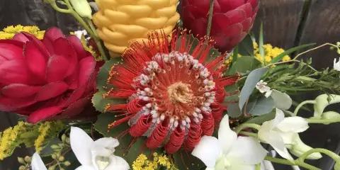 A close-up of a tropical floral arrangement featuring red and yellow proteas, white orchids, and yellow filler flowers.