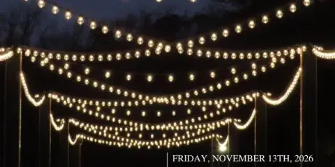 An outdoor park pavilion decorated with string lights at dusk, promoting a park foundation gala.