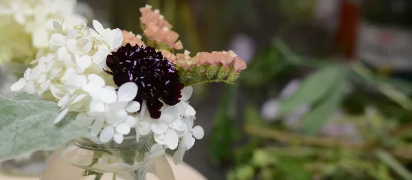 A close-up of a floral arrangement with white hydrangeas, dark purple scabiosa, and peach flowers in a glass vase.
