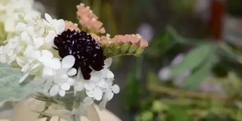 A close-up of a floral arrangement with white hydrangeas, dark purple scabiosa, and peach flowers in a glass vase.