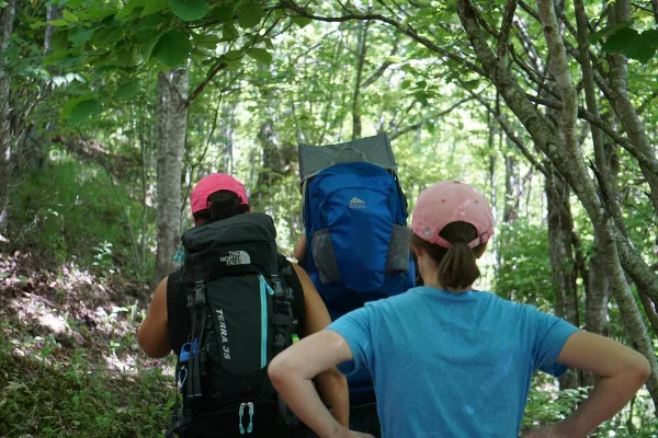 Hikers with large backpacks walking on a forest trail