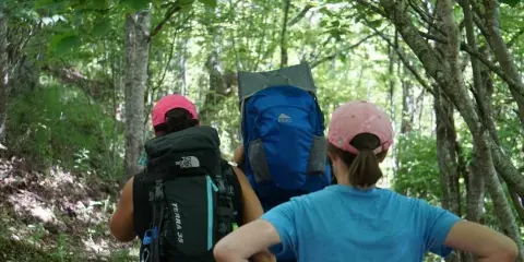 Hikers with large backpacks walking on a forest trail