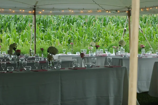 A formally set catering table with white tablecloths, glassware, and floral arrangements under a tent with string lights, set against a backdrop of a green field.
