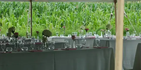 A formally set catering table with white tablecloths, glassware, and floral arrangements under a tent with string lights, set against a backdrop of a green field.