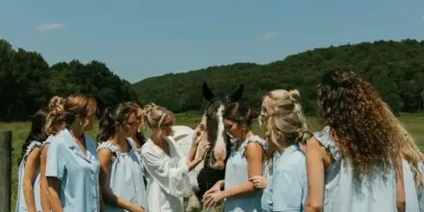 A bride and bridesmaids in light blue robes standing in a grassy field with a horse, set against a backdrop of rolling green hills.