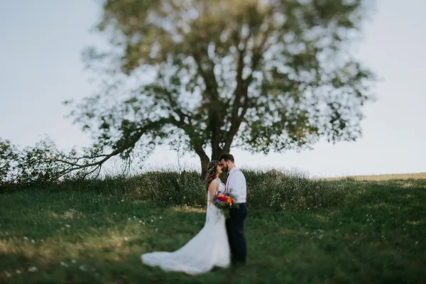 A bride and groom standing together in a grassy field with a large tree in the background.