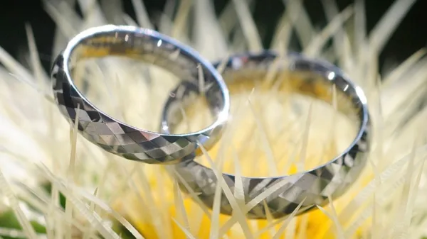 A close-up photograph of two silver wedding rings resting on a yellow flower.