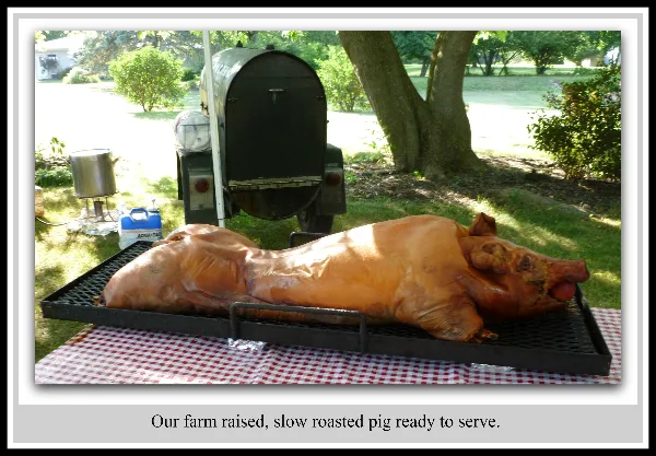 Roasted pig catering by Gale-Wyn Catering