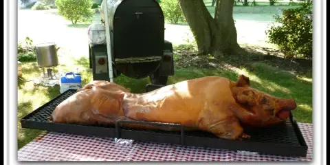 Roasted pig catering by Gale-Wyn Catering