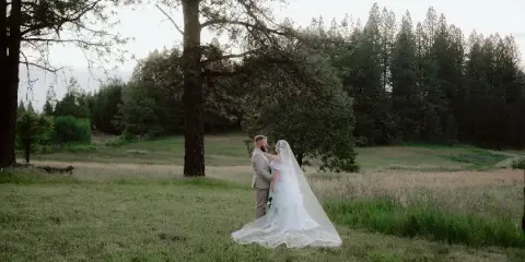 A bride and groom standing in a grassy field with a backdrop of tall evergreen trees.