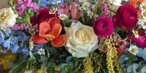 A vibrant floral arrangement featuring a central white rose, surrounded by magenta ranunculus, orange tulips, blue delphiniums, and yellow mimosa, accented with eucalyptus and daisies.