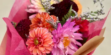 A colorful floral bouquet wrapped in pink paper, featuring daisies and dahlias.