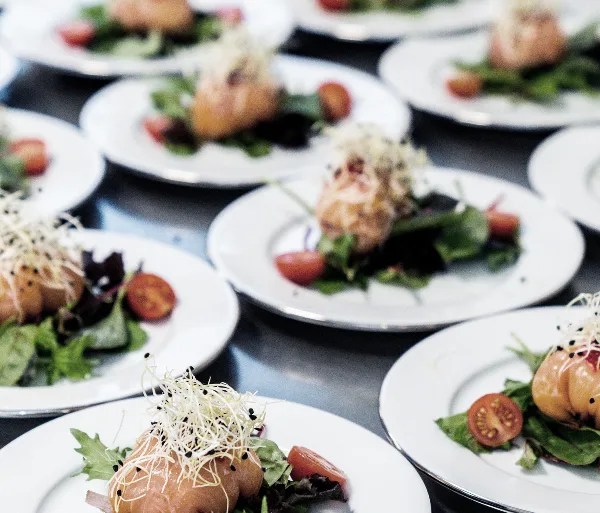 Multiple white plates containing appetizers with greens, tomatoes, and sprouts arranged on a metal tray.