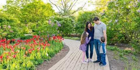 A family of four posing on a brick path in a garden with blooming red tulips and lilac bushes.
