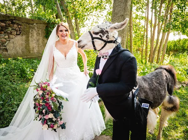 Maison Albion — wedding and event venue, Albion, New York